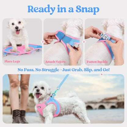 rabbitgoo Dog Harness Small Sized and Leash Set, Step in Soft Light Puppy Vest, Breathable Mesh Pet Harness, Reflective for Safe Easy Walking, Blue & Light Pink S - color: Blue & Light Pink, size: S (chest: 15.1 - 16.5")