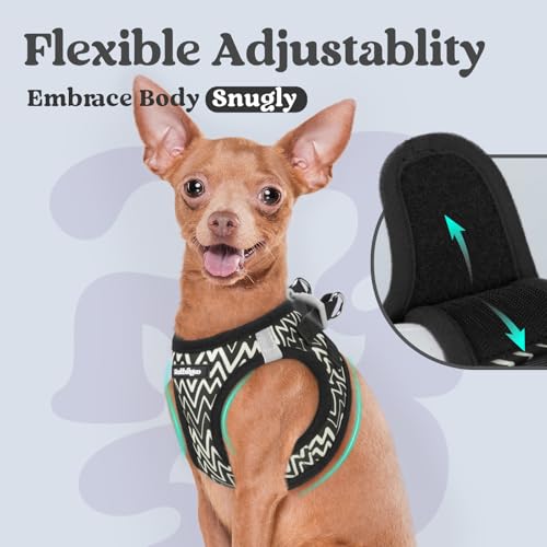 rabbitgoo Small Dog Harness, Step-in Soft Mesh Puppy Vest with Safety Buckle, Breathable Reflective Pet Harness for Small Sized Dogs, Black Zigzag XXS - color: Black Zigzag, size: Xxs(chest:12.4"-14.2")