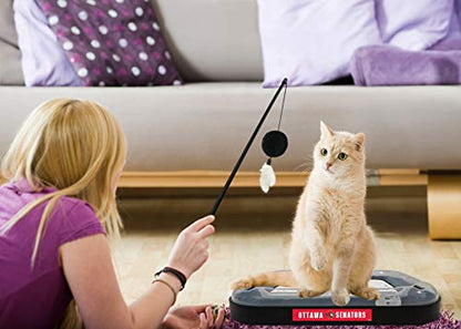 Pets First NHL Ottawa Senators Hockey Field Cat Scratching Toy - 5-in-1 Interactive Scratcher With Ball Bell in Tracks - color: Ottawa Senators