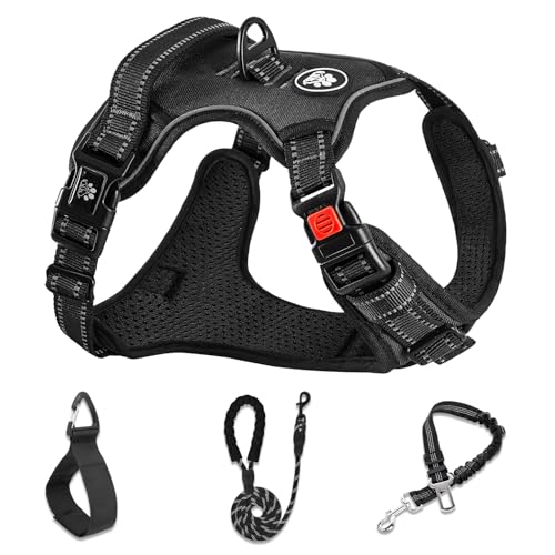 No Pull Dog Harness,Adjustable Oxford Dog Vest Harness with Leash,Reflective No-Choke Pet Harness with Easy Control Soft Handle for Small Dogs(Small,Black) - color: Black, size: 【S】neck 11-15" chest 15-21"