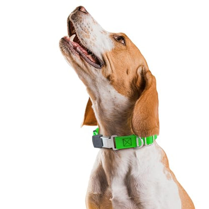 Biothane Waterproof Durable Dog Collar with Herm Sprenger - Quick Release ClicLock Buckle - Fits Medium and Large Dogs - Made in USA (Tropical Green, W 1" x L 15"-25") - color: Tropical Green, size: W 1" x L 15"-25"