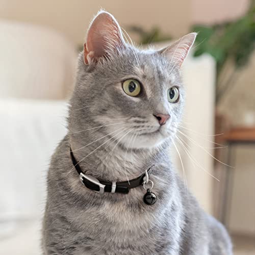 CollarDirect Leather Cat Collar with Removable Bell – Safety Elastic Strap (Breakaway Alternative) – Kitten Collar for Small & Big Boy & Girl Cats - color: Black, size: 8-11 Inch