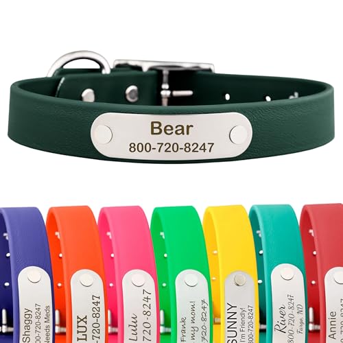 dogIDs Personalized Dog Collar – Custom Waterproof Soft-Grip Biothane with Laser-Engraved Nameplate, Durable & Odor-Resistant, USA Made | Hunter Green, 1 in x 16 in (Fits Necks Size 14-18 in) - color: Hunter Green, size: 1 in x 16 in (Fits Necks Size 14-1