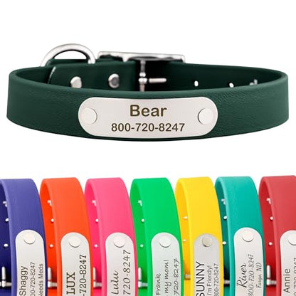 dogIDs Personalized Dog Collar – Custom Waterproof Soft-Grip Biothane with Laser-Engraved Nameplate, Durable & Odor-Resistant, USA Made | Hunter Green, 1 in x 16 in (Fits Necks Size 14-18 in) - color: Hunter Green, size: 1 in x 16 in (Fits Necks Size 14-1
