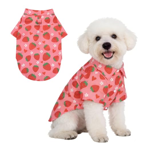 KOOLTAIL Spring Dog Shirt Outfit with Leash D-Ring, Soft Botton Up Summer Beach Pet Clothes for Small Medium Girl Dogs, Lightweight Puppy Polo Shirts for Sun & Insect Protection Indoor Outdoor,Pink SM - color: Pink Strawberry, size: Small/Medium