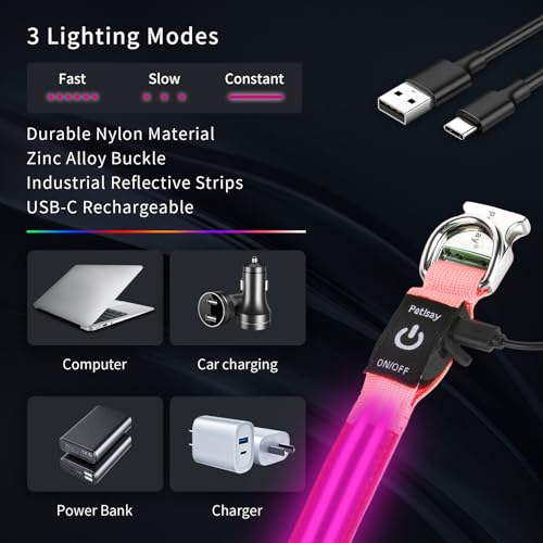 LED Dog Collar with Metal Buckle - USB Rechargeable Glow Collar for Dogs, Waterproof Light Up Dog Collar w/Reflective Strips - Adjustable Night Safety Collars by PetIsay(Pink, Small) - color: Pink(Fiber optic version), size: Small (11" - 15½ ")