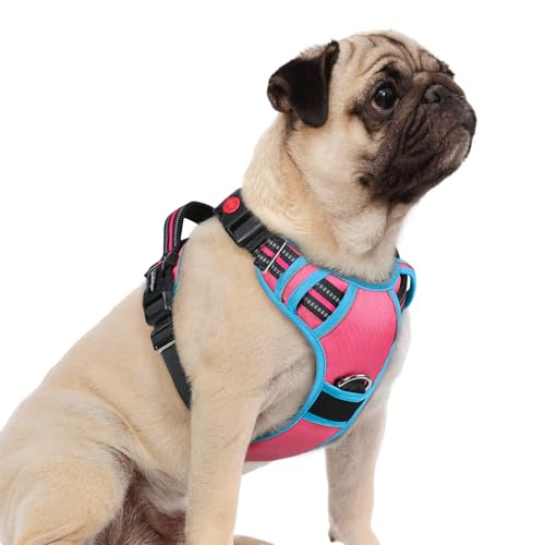 rabbitgoo Dog Harness Small Sized, No Pull Dog Vest with 3 Buckles, Adjustable Soft Padded Pet Harness with Easy Control Handle and Reflective Strips, Rose Pink & Blue, S - color: Rose Pink & Blue, size: Small
