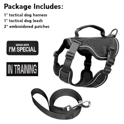 Tactical Dog Harness and Leash Set for Small Dogs - Military Puppy Vest Harness with Patches Vertical Handle Reflective Pet Harness for Walking Hiking Outdoor Training (Black, XXXS) - size: Xxxs