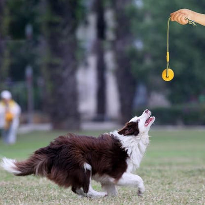 2 Pack Ball with Rope Dog Toy,Fling Dura Foam Toy,Dog Water Float Ball Rraining Boall on Rope (1 * 7cm/2.8"+1 * 9cm/3.5") - size: 1*7cm/2.8"+1*9cm/3.5"