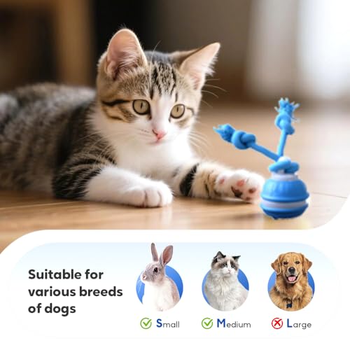 LECDOA Interactive Dog Toys, Smart Touch-Activated Automatic Rolling Ball, USB Rechargeable Bouncing Dog Ball, Suitable for Cats and Small to Medium-Sized Puppies (Blue) - color: Blue