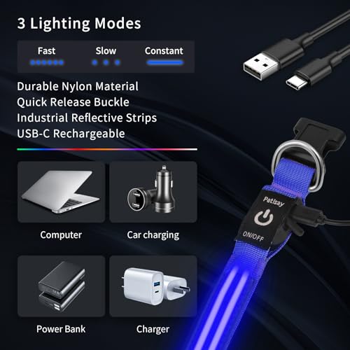Dog Light up Collar for Night Walking - High Visibility LED Dog Collar - Rechargeable - Waterproof - Reflective - Adjustable Lighted Glow Collars(Blue,Large) - color: Blue, size: Large (18" - 23")