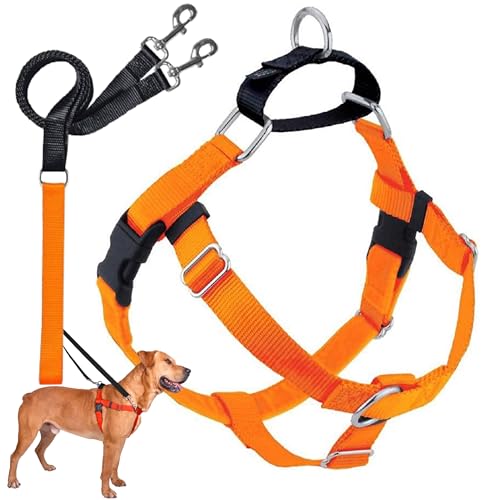 2 Hounds Design Freedom No Pull Dog Harness, Adjustable Harness and Leash Set, Easy Walking & Comfortable Control, Fits Small, Medium & Large Dogs, Solid Colors, Made in USA, 5/8" XS, Neon Orange - color: Neon Orange, size: XS (Chest 15"- 20")