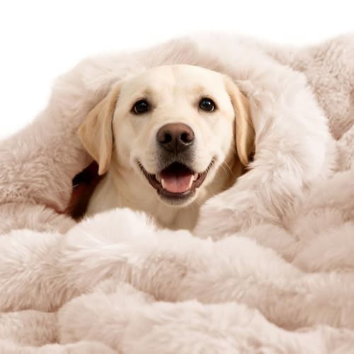 Dog Blanket, Reversible Sherpa & Bubble Fleece Pet Throw, Ultra-Soft Plush for Medium Dogs, Machine Washable, Anti-Static, Warm & Cozy, 39"×31" Inch White - color: White, size: 39"L x 31"W Inches