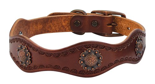 Weaver Leather Sundance Dog Collar