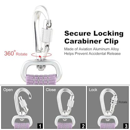 Plutus Pet Heavy Duty Dog Leash with Lockable Aluminum Carabiner, 4/6 Feet Long, Double-Sided Reflective Nylon, Padded Handle, for Puppy, Small, Medium and Large Dogs (Lilac Purple, 4/5" x 4') - color: Lilac Purple, size: 4/5" x 4'