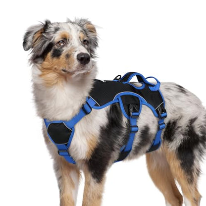 rabbitgoo Escape Proof Dog Harness Large Dogs, Soft Padded Full Body Pet Harness, Reflective Adjustable No Pull Vest with Lift Handle and Leash Clip for Walking Hiking Training, Blue & Black, M - color: Blue & Black, size: Medium (Pack of 1)