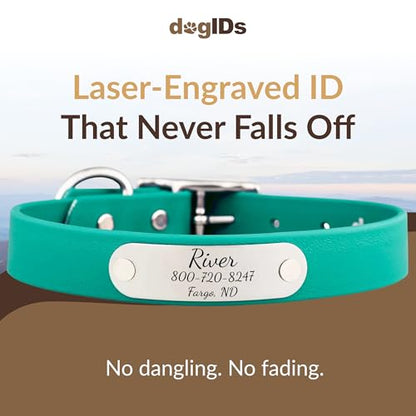 dogIDs Personalized Dog Collar – Custom Waterproof Soft-Grip Biothane with Laser-Engraved Nameplate, Durable & Odor-Resistant, USA Made | Teal, 1 in x 16 in (Fits Necks Size 14-18 in) - color: Teal, size: 1 in x 16 in (Fits Necks Size 14-18 in)