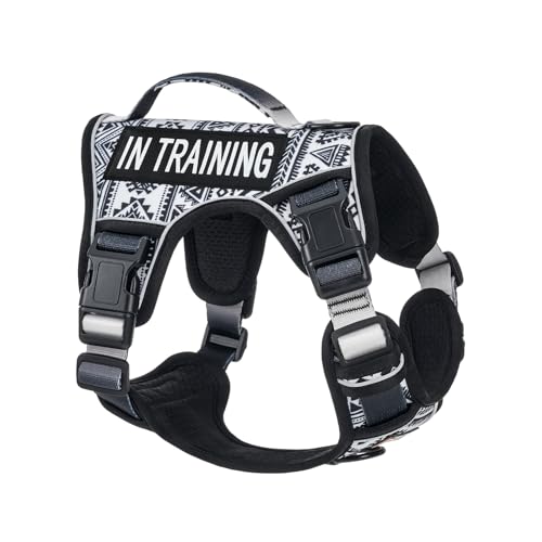 AUNZO No Pull Dog Harness for Small Dog Breeds, Anti-Escape Easy Walking Reflective Adjustable Lightweight Dog Vest with Breathable Oxford Material, Easy on Easy Off with Neck Buckle,Black Ethnic XS - color: Black Ethnic, size: Extra Small
