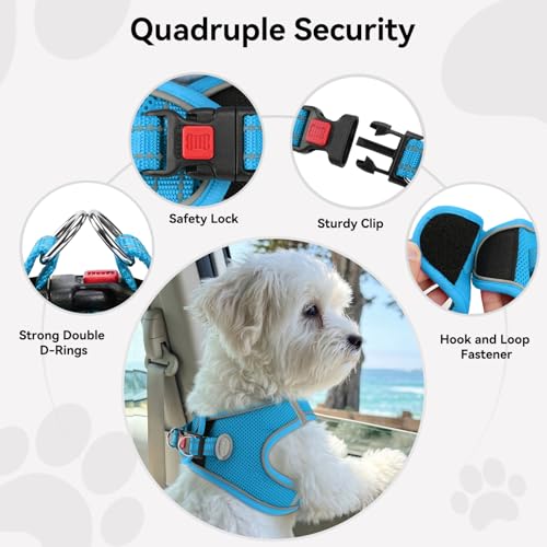 Joytale Small Dog Harness, Breathable Mesh Step-in Vest, Reflective Soft Padded Harnesses for Cats and Puppies Dogs, Sky Blue, XXXS - color: SkyBlue, size: XXXS--Chest: 10.5-12''