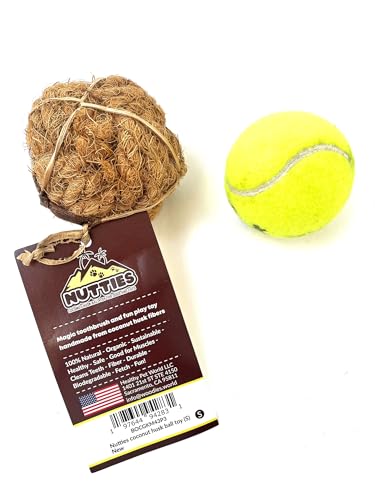 Nutties for Dogs - Natural Coconut Fiber Ball Toy and Magic Toothbrush - 2 Sizes (Small) - size: Small