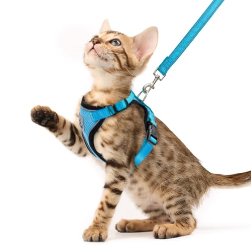 PUPTECK Cat Harness and Leash Set Escape Proof Reflective Cat Walking Harness Adjustable Soft Breathable Mesh Vest for Small Pets, Blue, XS - color: Blue, size: XS (NECK 8.5", CHEST 11"-14")