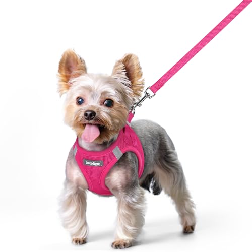 rabbitgoo Dog Harness Small Sized and Leash Set, Step in Soft Light Puppy Vest, Breathable Mesh Pet Harness, Reflective for Safe Easy Walking, Rose Red XS - color: Rose Red, size: Xs (chest: 13.3 - 15.5")