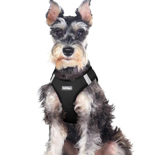 rabbitgoo Small Dog Harness, Step-in Soft Mesh Puppy Vest with Safety Buckle, Breathable Reflective Pet Harness for Large Dogs, Black XXL - color: Black, size: Xxl(chest:21.6"-23.7")