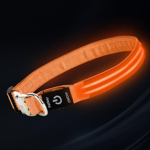 LED Dog Collar with Metal Buckle - USB Rechargeable Glow Collar for Dogs, Waterproof Light Up Dog Collar w/Reflective Strips - Adjustable Night Safety Collars by PetIsay(Orange, Small) - color: Orange(Fiber optic version), size: Small (11" - 15½ ")