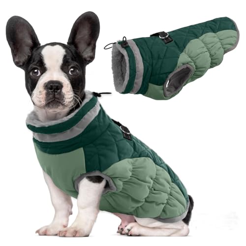 Lelepet Warm Dog Winter Coat Dog Coats for Small Dogs Waterproof Dogs Jacket with Harness Built in Reflective Cold Weather Coats Windproof Zip-Up Winter Fleece Vest Snowsuit Chihuahua Teal Green - color: Teal Green, size: X-Small