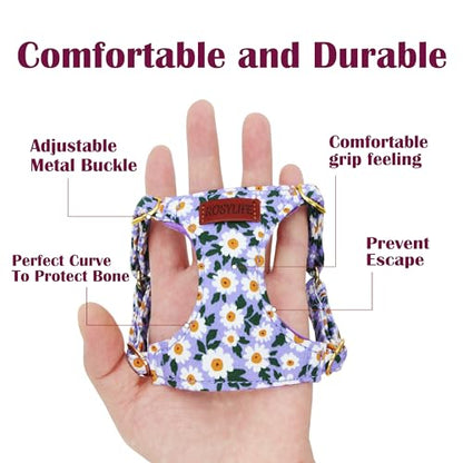 No Pull Dog Harness Adjustable Small Dog Harness and Leash Set, Lightweight and Soft Dog Harness No Choke Escape Proof Pet Harness Vest (Purple Daisy, XX-Small) - color: Purple Daisy, size: XX-Small