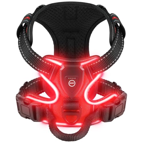 Light Up Dog Harness - LED Dog Harness Rechargeable for Night Walking, Three Lighting Modes, Flashing for More Than 20 Hours, Oxford Cloth(Red/Large) - color: Red, size: Large