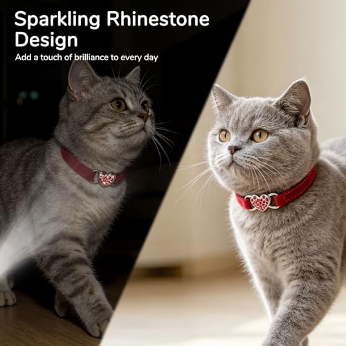 BINGPET Diamond Cat Collar,Adjustable Soft Velvet Leather Safe Kitten Collar with Crystal Heart Charm and Bells,Girl Boy Bling Stylish Cat Collars with Safety Elastic (Red, Neck Girth 8"-10" - color: Red(Heart), size: Neck Girth 8"-10"