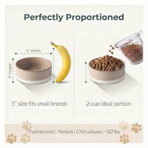 Ceramic Dog and Cat Bowl 2-Pack Non-Slip Weighted Food Water Set for Cats &Small Dogs 13.5OZ Brown - color: Brown – 2 Pack