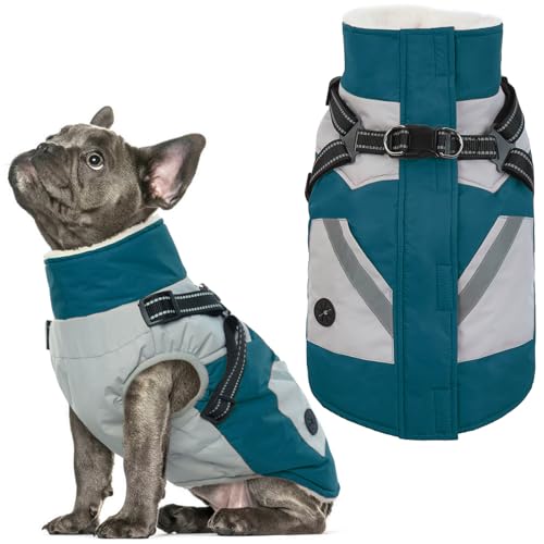 IECOii Dog Winter Coat Waterproof - Dog Coat with Harness Built in for Medium Dogs,Thermal Warm Fleece Lined with Zip Up Cold Weather Jacket,Reflective Snowsuit for Outdoor, Turquoise Green,M - color: Turquoise Green, size: Medium(Chest:20.9 in)