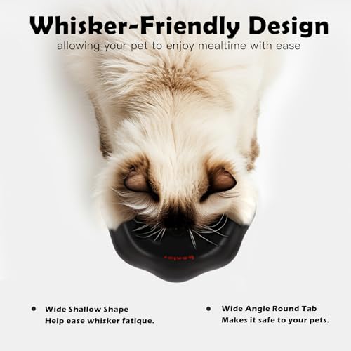 Cloud-Shaped Ceramic Cat Bowl - Elevated Raised Design for Indoor Cats & Kittens,Tilted Anti-Vomiting Shallow Dish with Spine Protection,Cute Whisker-Friendly Ceramic Food Bowls & Dishes (Black) - color: Black