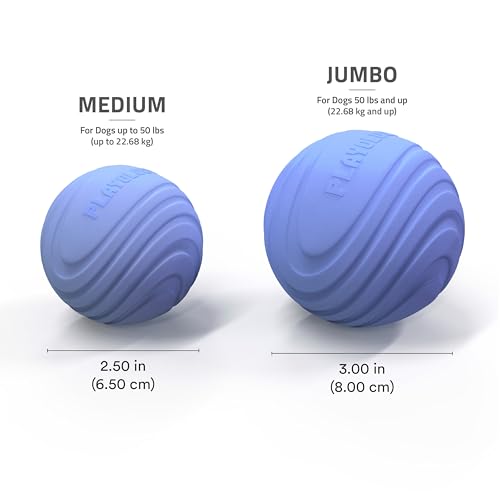 Playology Dog Toys | Dual Layer Ball Durable Chew Toy for Tough Chewers | Blueberry Scented Jumbo Dog Toy | Chew Toys for Large Dogs - size: Jumbo, style: Blueberry