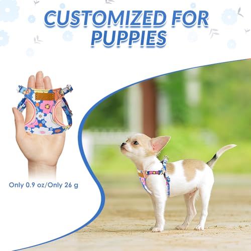 Lukovee Puppy Harness and Leash Set, No Pull Lightweight Soft Suede Adjustable Pet Harness Vest with Snap Buckle for Puppy Small and Medium Size Dog (Blue Flower, XXS) - color: ·Blue Flower, size: XX-Small ( 2.2-6lb )