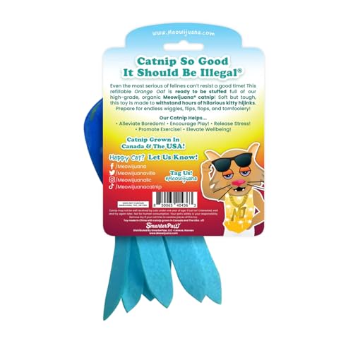 Meowijuana Purrfect Pairing Jump 'n' Jamb Squid Door Hanging Cat Toy and Get Tangled Octopus | Refillable Interactive Catnip Toy | Includes Potent Catnip Grown in North America - color: Squid & Octopus Toy