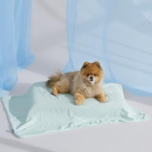 Bedsure Cooling Blanket for Small Dogs with Breathable Air-Core Fill Q-MAX>0.4 - Dog Cooling Mat Soft, Lightweight Pet Cat Throw Cold Blanket Washable for Summer, Pale Jade, 25x35 - color: Pale Jade, size: S(25x35")