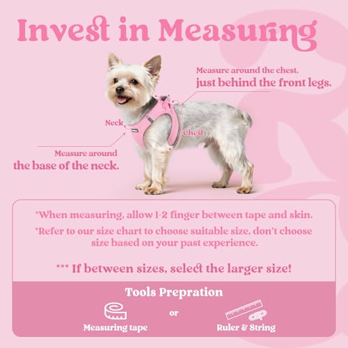 rabbitgoo Small Dog Harness, Step-in Soft Mesh Puppy Vest with Safety Buckle, Breathable Reflective Pet Harness for Extra Small Dogs, Light Pink XXXS - color: Light Pink, size: Xxxs(chest:10.8"-11.8")