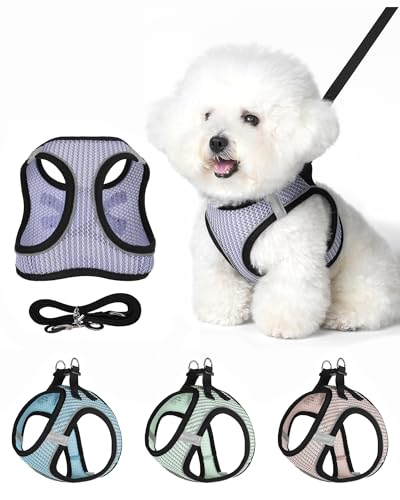 Dog Harness Small Sized and Leash Set, Step in Soft Light Puppy Vest, Breathable Mesh Pet Harness Suitable for Puppies and Kittens. (Purple, XS(Chest:11.81-14.17")) - color: Purple, size: XS(Chest:11.81-14.17")