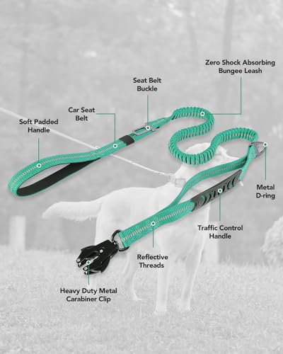 Joytale Tactical Dog Leash Heavy Duty, 4-6FT Shock Absorbing Bungee Lead with 2 Padded Handle, Metal Carabiner Clip, Car Seatbelt, Strong No Pull Leash for Medium Large X-Large Dogs, Teal - color: Teal