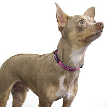 Max and Neo™ NEO Nylon Buckle Reflective Dog Collar - We Donate a Collar to a Dog Rescue for Every Collar Sold (X-Small, Pink) - color: Pink, size: Extra Small