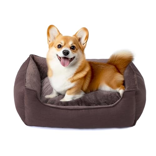 Rectangle Dog Bed for Medium Size Dog with Removable Washable Cover Pet Bed with Bolster Sides Non-Slip Bottom Pet Sofa Waterproof Lining Durable Pet Cuddler, Dark Brown, 25x 20x 6.7 in - color: Dark Brown, size: 24"L x 20"W x 6.7"Th