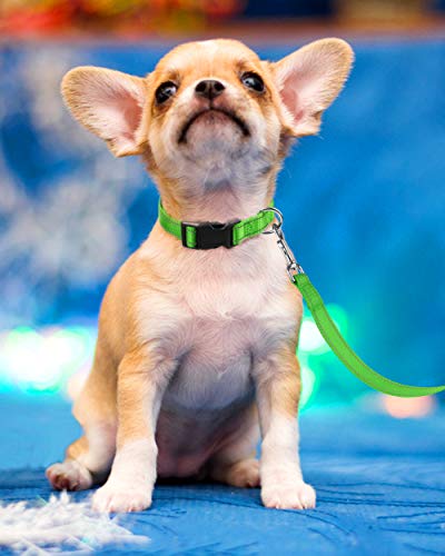 Reflective Dog Collar, Sturdy Nylon Collars for Puppy and Extra Small Girl and Boy Dogs, Adjustable Dog Collar with Quick Release Buckle,Green,3/8" Width - color: Green, size: X-Small (Pack of 1)