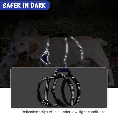 Medium Blue Dog Harness - Escape Proof, No Pull, Reflective, Adjustable, Modern Style with Handle and D-Ring for Walking, Hiking, Training and Running - color: Blue, size: Medium