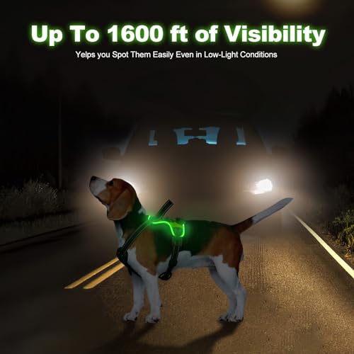 Light Up Dog Harness - LED No Pull Rechargeable Illuminated and Reflective Vest for Night Walking, Adjustable Dog Harness - color: Green, size: M