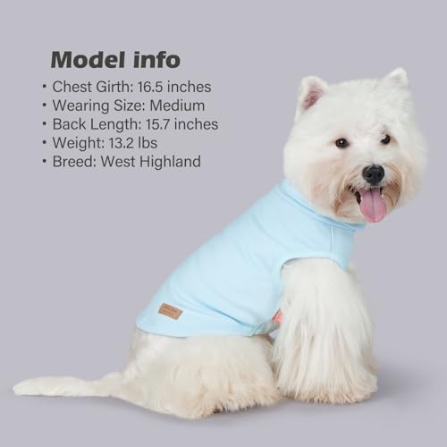 KYEESE 2Pack Dog Sweater Stretchy Dogs Clothes Soft Pets Clothes Turtleneck Small Pet Sweaters Pullover Pets Sweatshirt Warm Pet Coats Dog Sweaters for Small Dogs Male - color: 6# Stripe+blue, size: Small (4-7lbs)