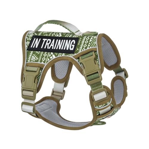 AUNZO No-Pull Dog Harness for Small Dog Breeds, Escapeproof Easy Walking Reflective Adjustable Lightweight Dog Vest with Breathable Oxford Material, Easy on Easy Off with Neck Buckle, Green Ethnic XS - color: Green Ethnic, size: Extra Small