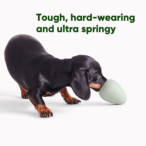 Beco Natural Rubber Bouncy, Chewy & Fillable Boredom Buster Dog Toy, Rolls & Wobbles Stuff with Multiple Fillable Holes, Blue - size: Pebble